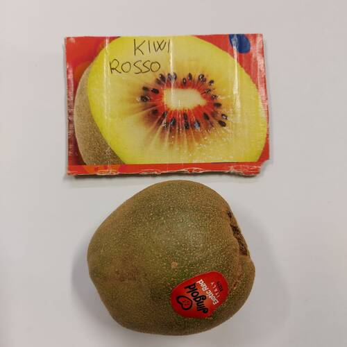 Kiwi rossi